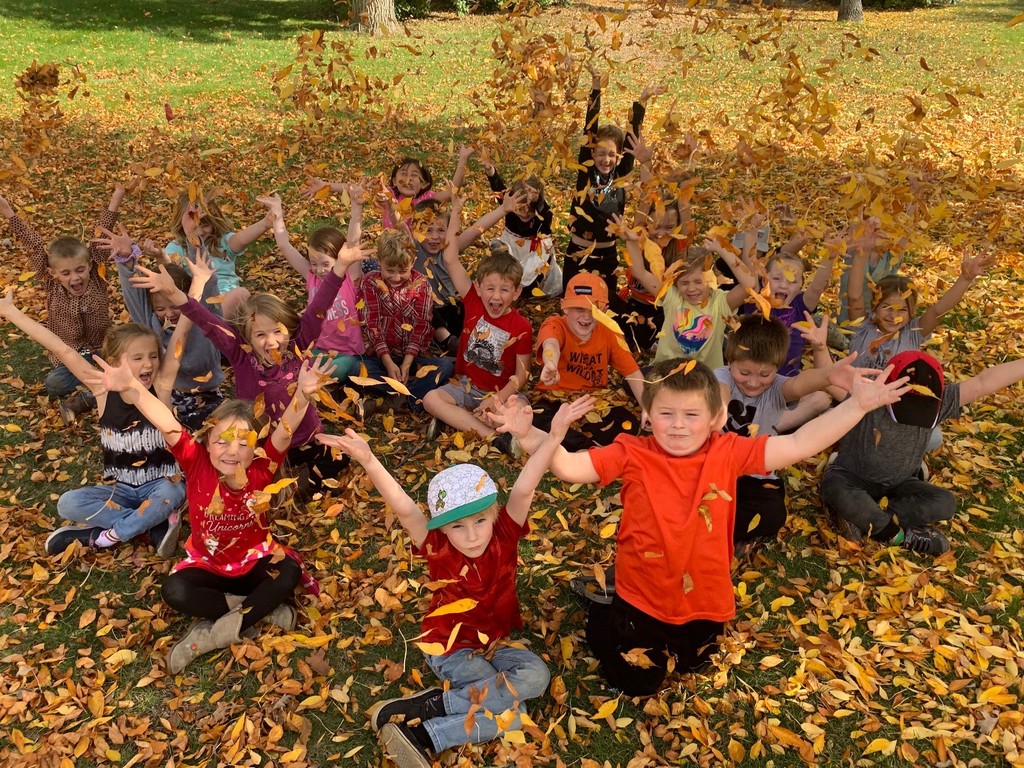 students throwing leaves for picture
